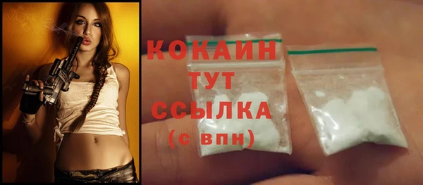 гидропоника Горнозаводск