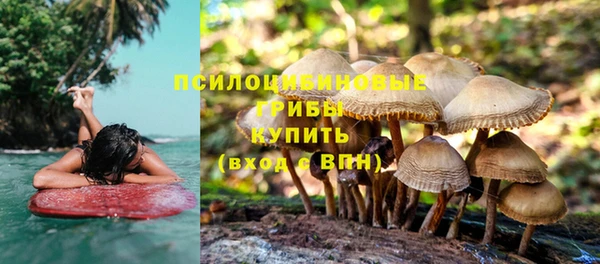 герыч Вяземский