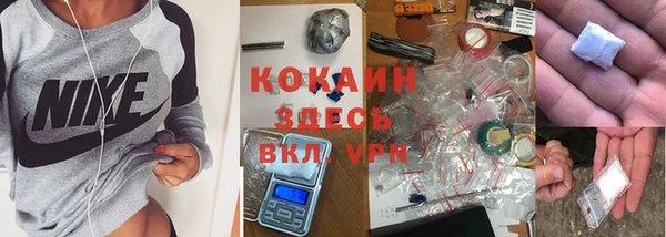 крисы Горняк